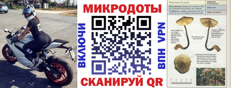 гидра маркетплейс  Сибай  Псилоцибиновые грибы мицелий 